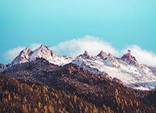 百威旗下米狮龙啤酒期待在冬奥会前再现奇迹|奥运|美国队|冰球队|冰球|美国冰球队_新浪体育_新浪新闻