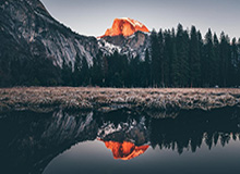 百威旗下米狮龙啤酒期待在冬奥会前再现奇迹|奥运|美国队|冰球队|冰球|美国冰球队_新浪体育_新浪新闻